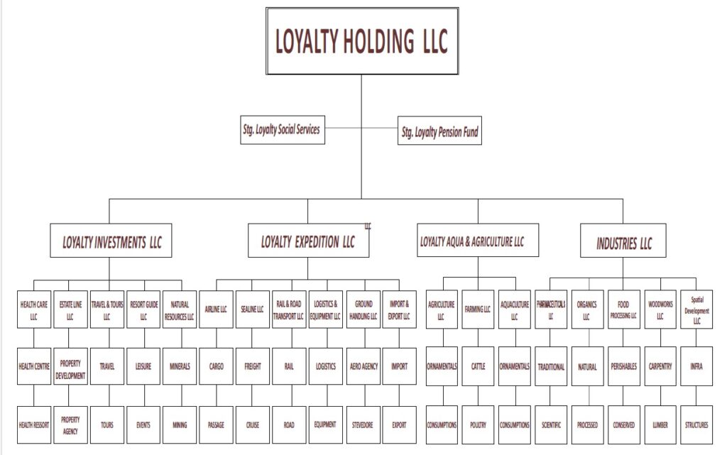 Orginisation structure